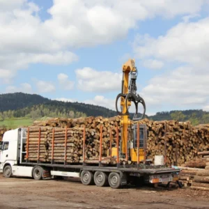 Hêtre en grume – Camion complet 50 stères