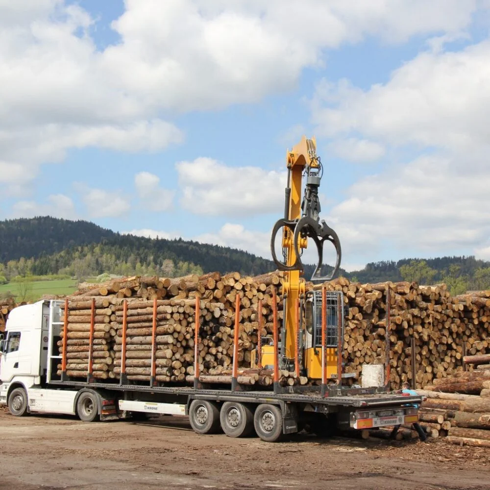 Hêtre en grume – Camion complet 50 stères